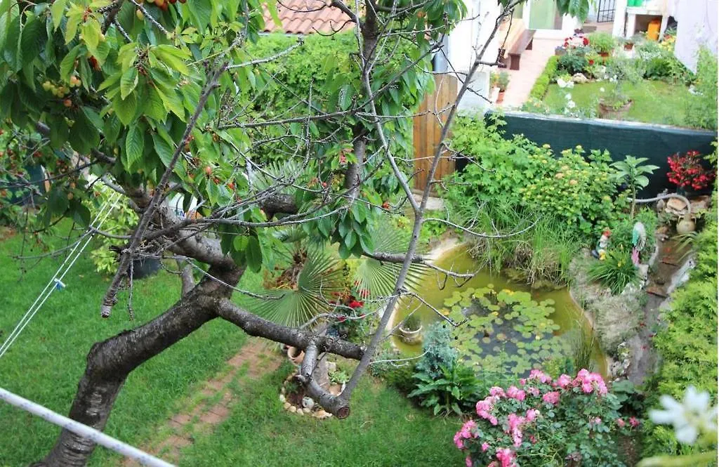 Lovely Family House Robi Rovinj