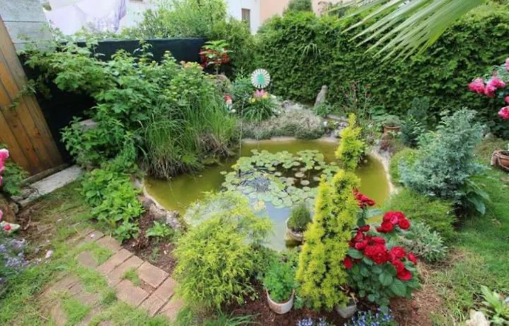 Lovely Family House Robi Rovigno